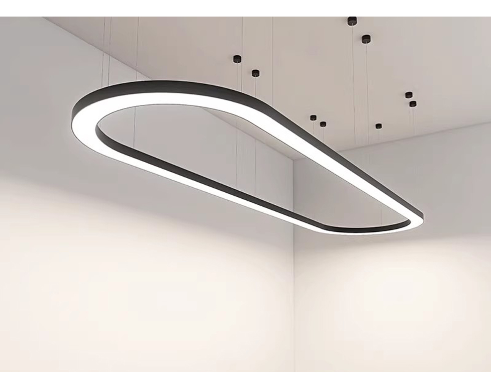 Custom-shaped pendant lamp  L10