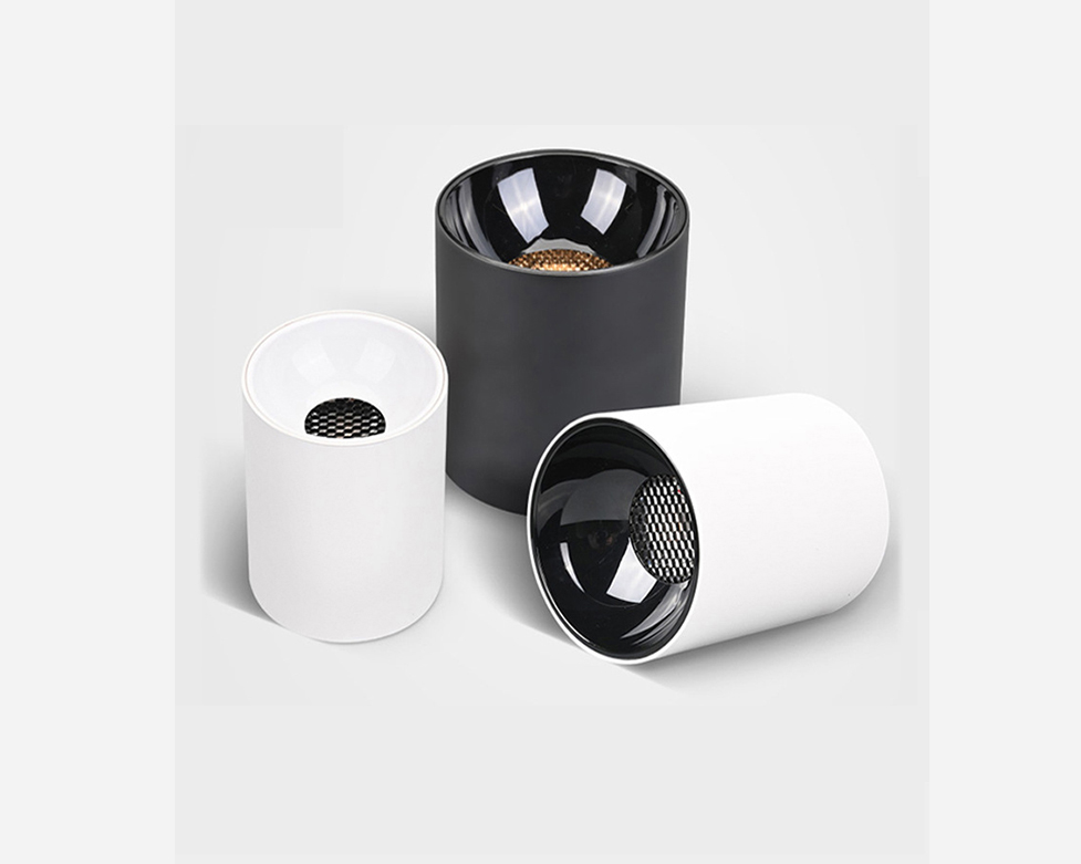 surface-mounted downlight  L20